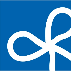 Icon Klima